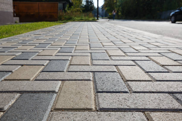 Residential Paver Driveway in Cheval, FL