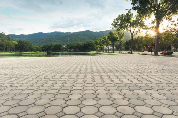 Reliable Cheval, FL Driveway Pavers Solutions