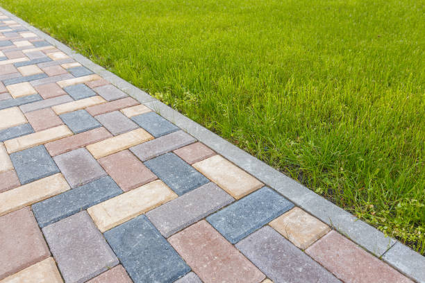  Cheval, FL Driveway Pavers Pros